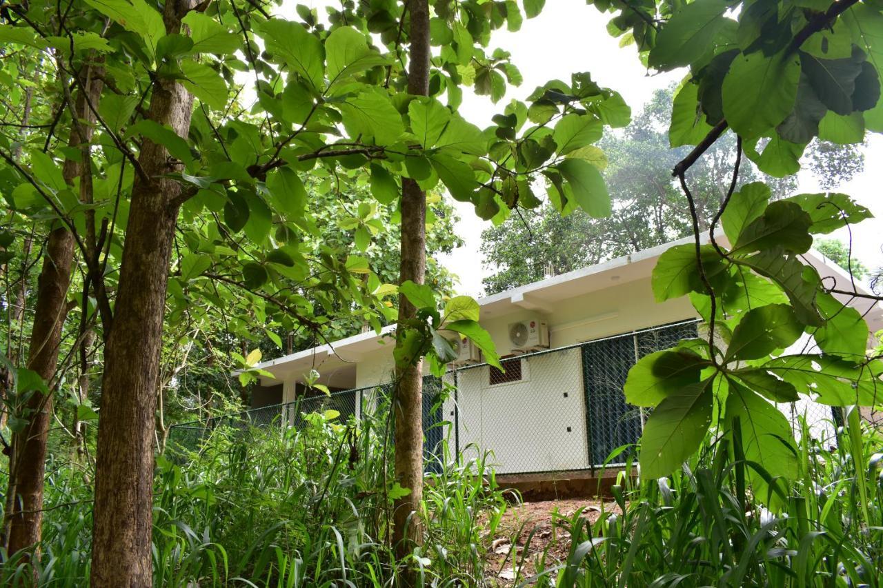 Forest Edge Safari Villa Udawalawe Exterior foto